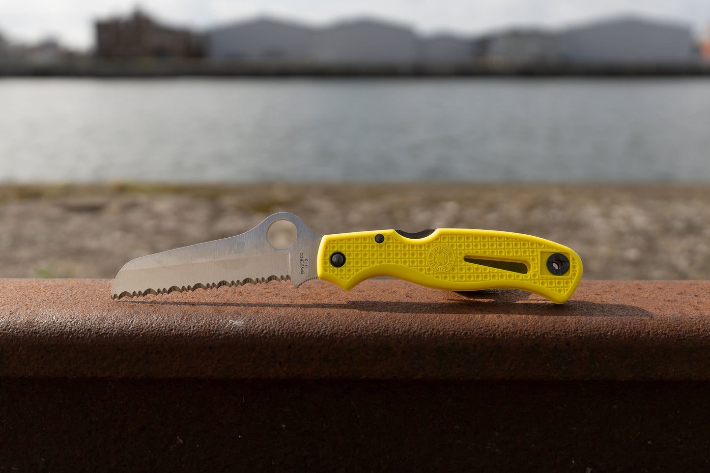 Spyderco Atlantic Salt Dive Knife