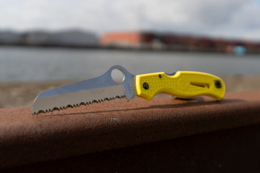 Spyderco Atlantic Salt Dive Knife