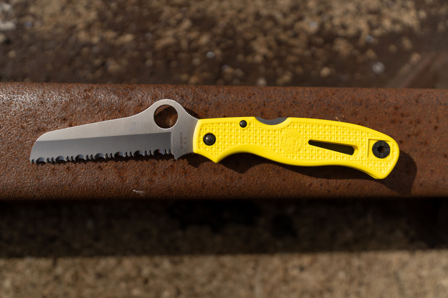 Spyderco Atlantic Salt Dive Knife