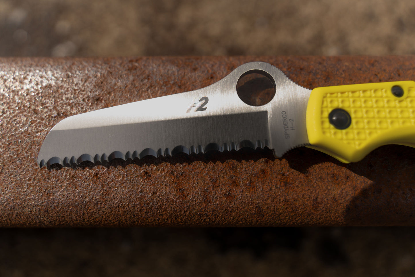 Spyderco Atlantic Salt Dive Knife