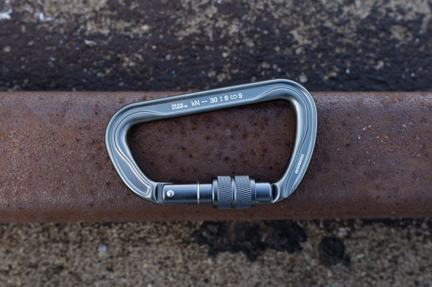 Screw Lock Carabiner (Grey)