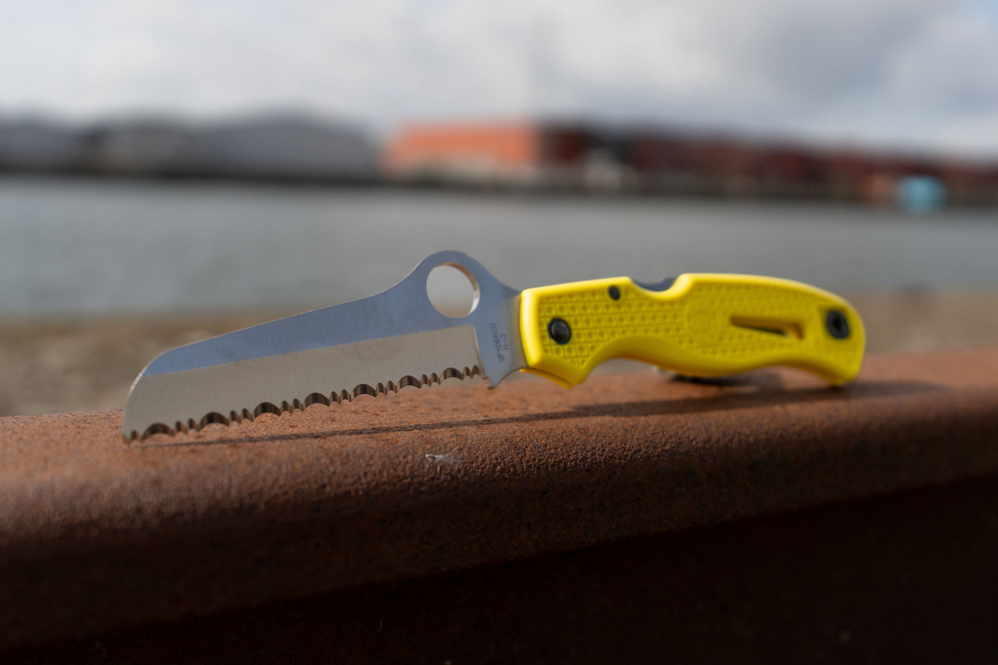 Spyderco Atlantic Salt Dive Knife