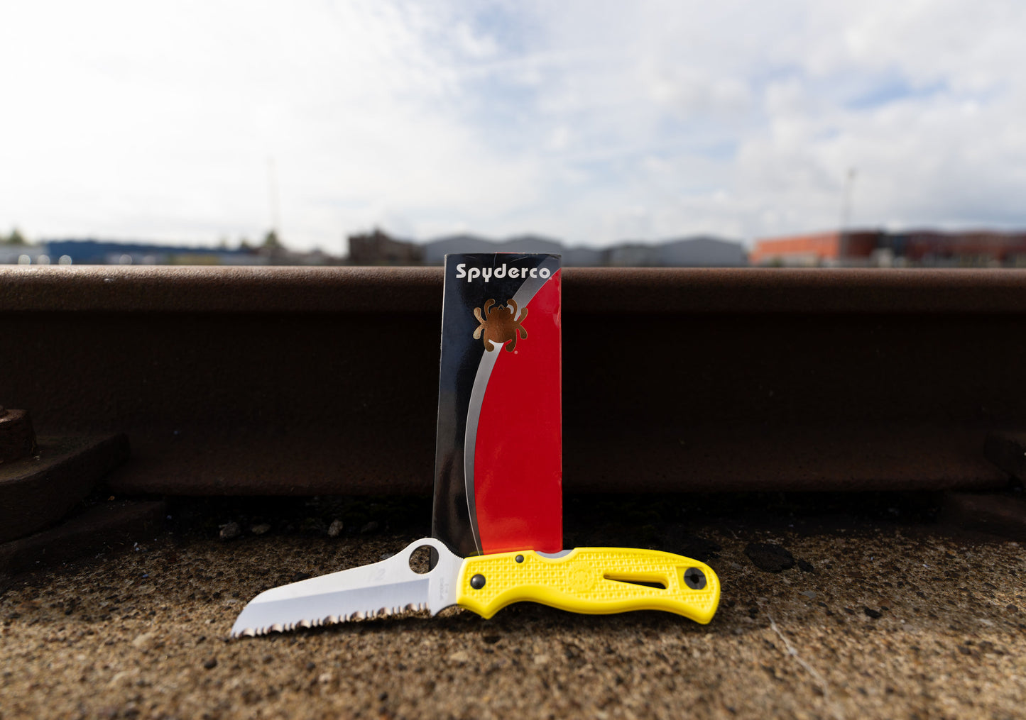 Spyderco Atlantic Salt Dive Knife